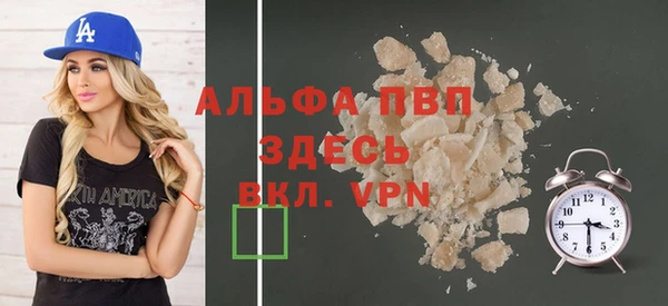 СК Алексин