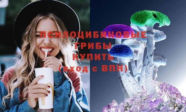 твердый Няндома