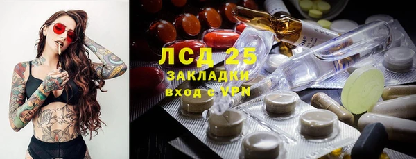 СК Алексин