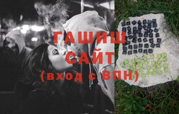СК Алексин